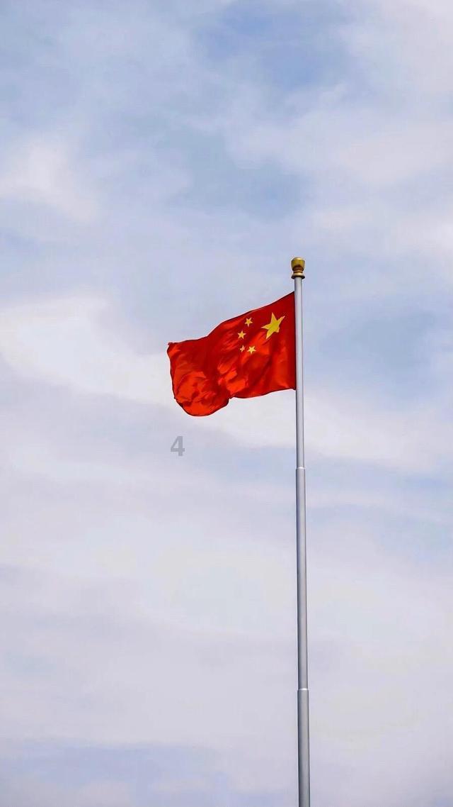 神农架近百只金丝猴雪后下山嬉戏,你对这种动物了解多少?-最新社区讨论和分享平台