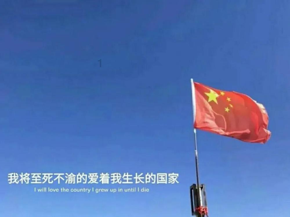 猫鼬大逃脱